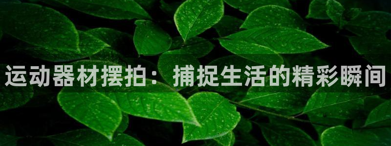 意昂体育5(KGAME)招商电话地址查询
