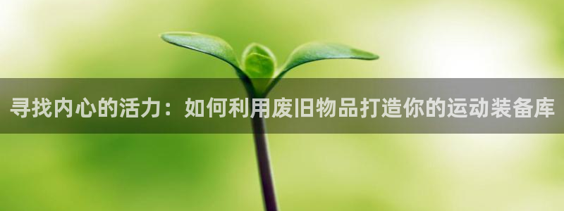 意昂5(KGAME)官网：寻找内心的活力：如何利用废旧物品打