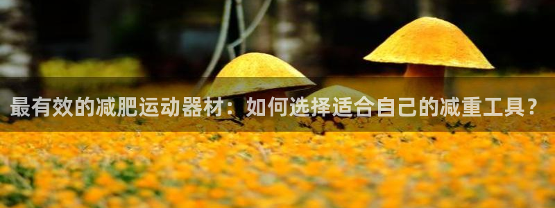 意昂5(KGAME)集团简介：最有效的减肥运动器材：