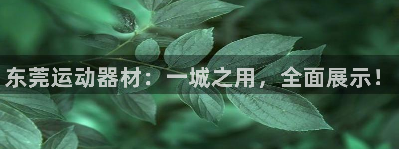 意昂体育5(KGAME)平台注册要钱吗：东莞运动器材