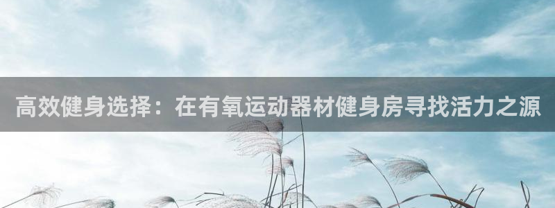 意昂体育5(KGAME)开户：高效健身选择：在有氧运
