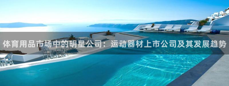 意昂体育5(KGAME)平台假的吗是真的吗：体育用品市场中的