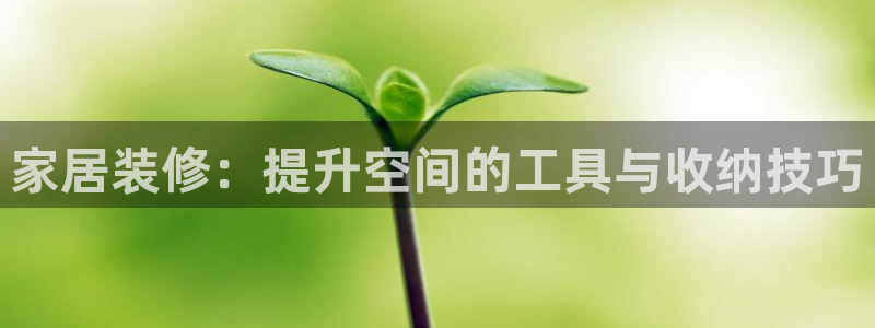 意昂体育5(KGAME)平台是正规平台吗：家居装修：