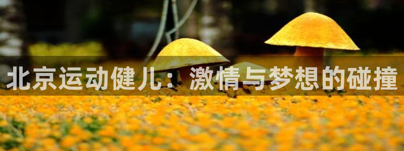 意昂体育5(KGAME)招商电话号码是多少