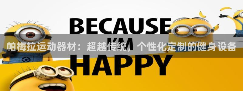 意昂体育5(KGAME)注册：帕梅拉运动器材：超越传