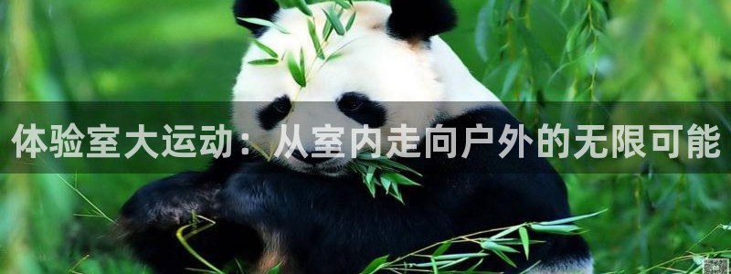 德国意昂5(KGAME)集团：体验室大运动：从室内走向户外的