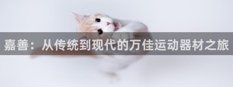 意昂体育5(KGAME)是干嘛的公司：嘉善：从传统到现代的万