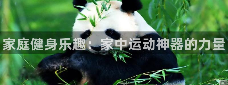 意昂体育5(KGAME)平台注册要钱吗：家庭健身乐趣：家中运