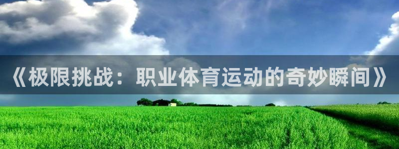必一运动体育官网入口