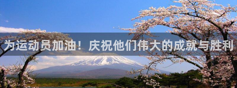 必一运动bsport体育