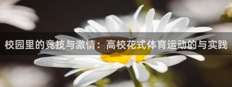 bsports必一运动