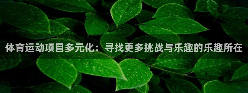 b体育必一运动官网