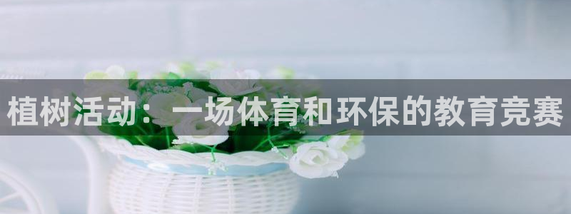 必一运动bsport体育