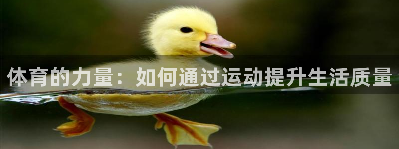 bsports必一运动