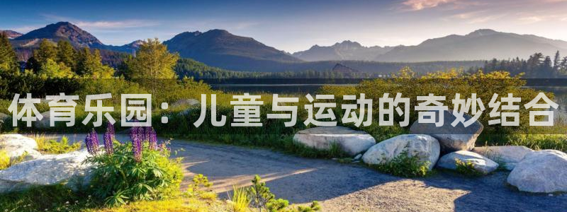 必一运动体育官网